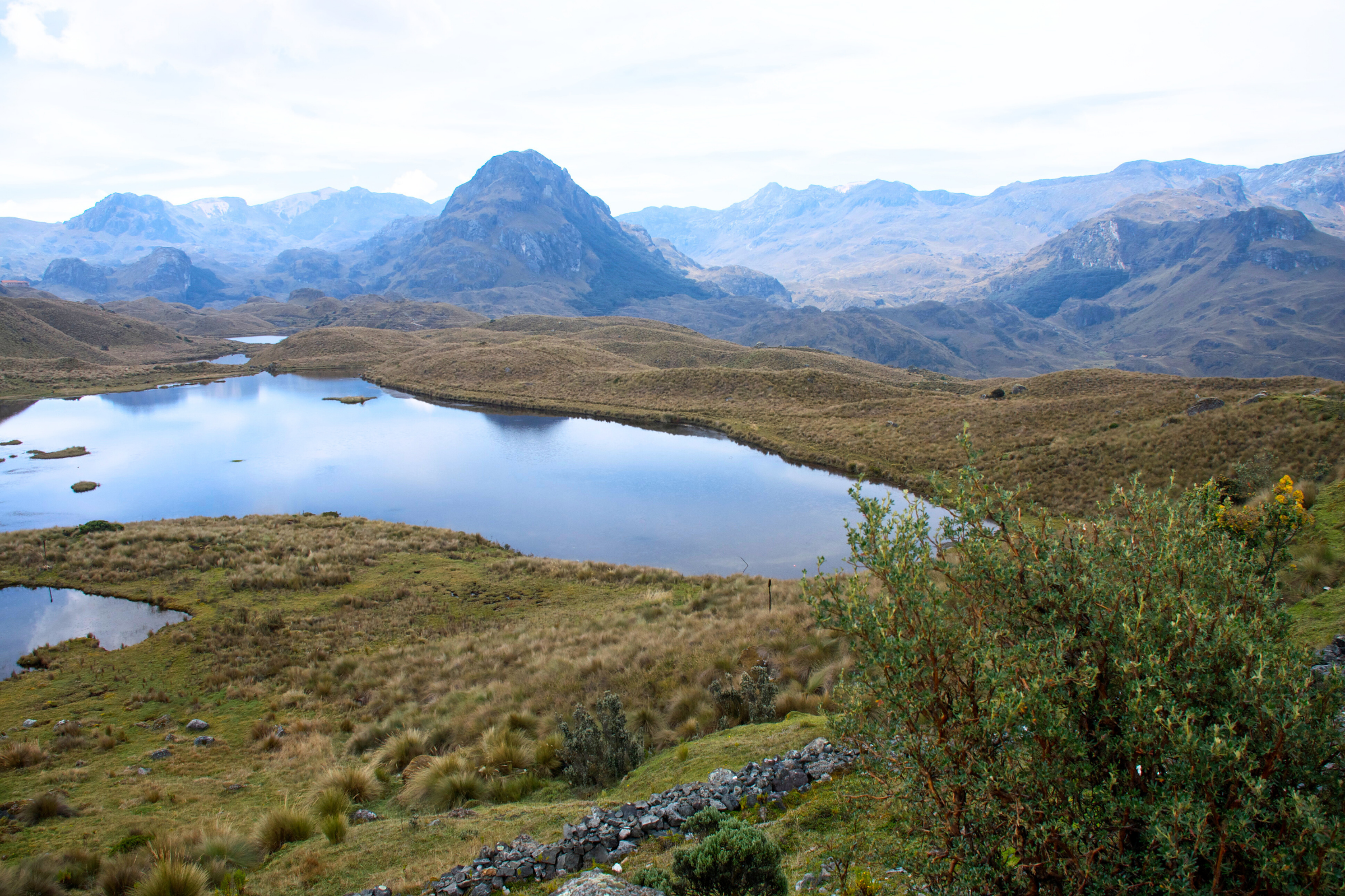 cajas national park (3).webp